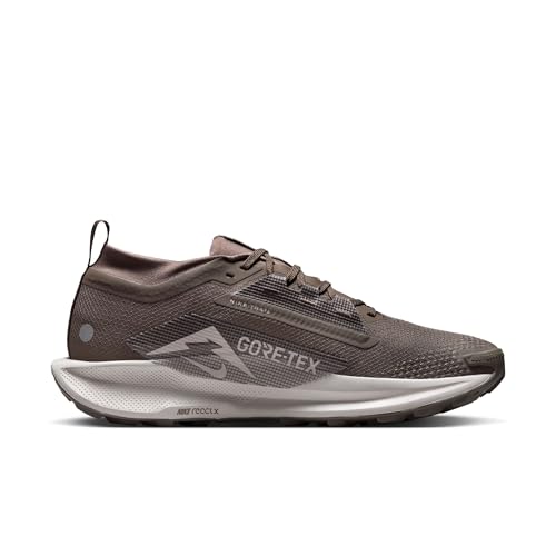 Nike Mens Pegasus Trail 5 Gore-TEX Ironstone/College Grey/Velvet Brown 8 Medium