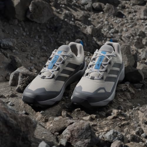 adidas Men's Terrex Skychaser AX5 Hiking, Wonder Alumina/Carbon/Grey, 10.5
