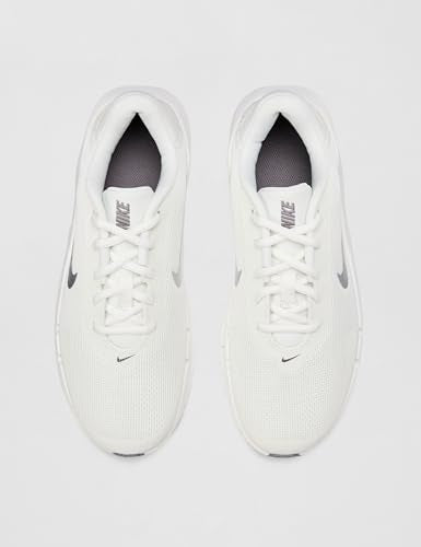 Nike Women's Flex Train Training/Workout Shoes, Sail/White-Chalk-Pencil Point, 12