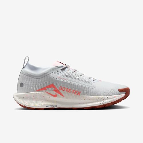 Nike Pegasus Trail 5 Gore-TEX Men's Waterproof Running Shoes (FQ0908-009, Pure Platinum/Football Grey/Pink Foam/White) Size 11.5