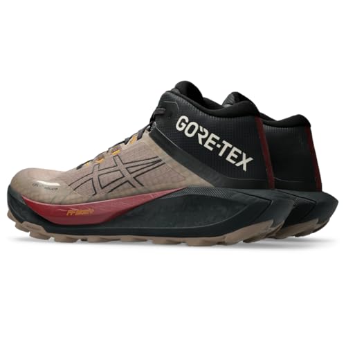 ASICS Men's Gel-Trabuco MT GTX Running Shoes, 10.5, Taupe Grey/Graphite Grey