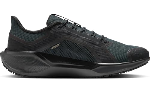 Nike Mens Pegasus 41 Gore-TEX Black/Black/Anthracite 10.5 Medium