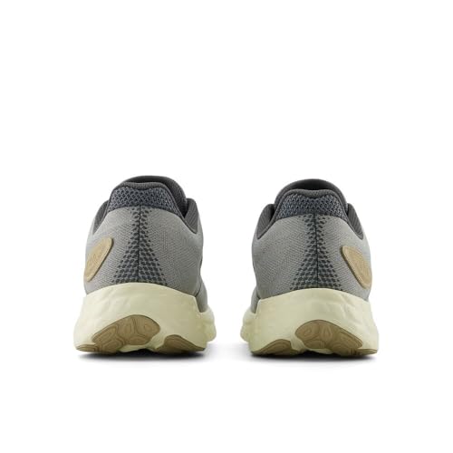 New Balance Men's Fresh Foam 680 V8 Running Shoe, Fresh Foam 680 V8, 10.5