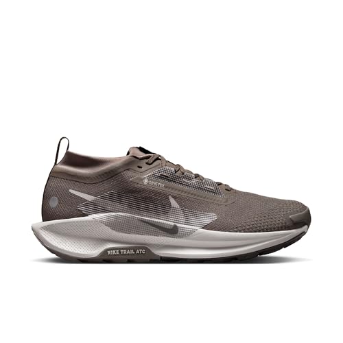 Nike Mens Pegasus Trail 5 Gore-TEX Ironstone/College Grey/Velvet Brown 8 Medium