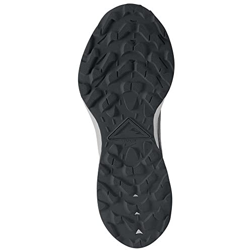 Nike Women's Winflo 8 Running Shoe, Black Spruce Aura Dk Smoke Grey Particle Grey Iron Grey, 9