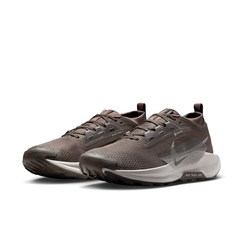 Nike Mens Pegasus Trail 5 Gore-TEX Ironstone/College Grey/Velvet Brown 8 Medium