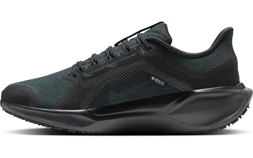 Nike Mens Pegasus 41 Gore-TEX Black/Black/Anthracite 10.5 Medium