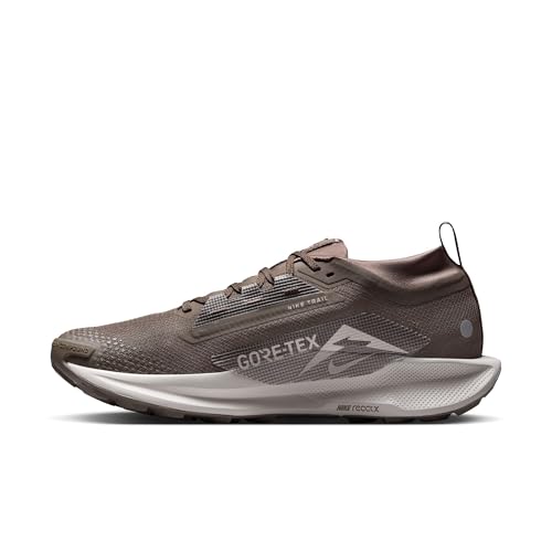 Nike Mens Pegasus Trail 5 Gore-TEX Ironstone/College Grey/Velvet Brown 8 Medium