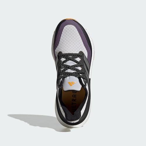 adidas Womens Ultraboost Light Cold.RDY Dash Grey/Silver Metallic/Shadow Violet 9