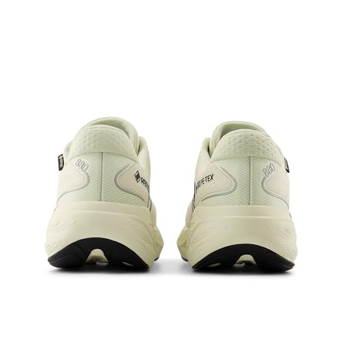 New Balance Women's Fresh Foam X 880 V15 Gore-TEX Running Shoe, Permafrost/Mineral/Black, 9 M