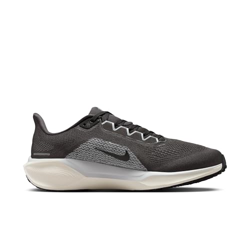 Nike Men's Pegasus 41 Medium Ash/Black/Pure Platinum 11.5 Medium