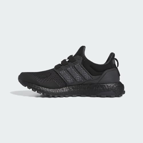 Adidas Unisex-Adult Ultraboost 1.0 Stealth Black/Carbon/Grey