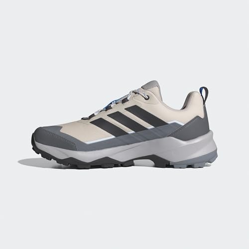 adidas Men's Terrex Skychaser AX5 Hiking, Wonder Alumina/Carbon/Grey, 10.5