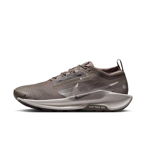 Nike Mens Pegasus Trail 5 Gore-TEX Ironstone/College Grey/Velvet Brown 8 Medium