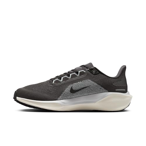 Nike Men's Pegasus 41 Medium Ash/Black/Pure Platinum 11.5 Medium