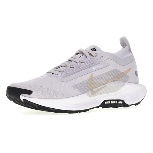 Nike Women's Pegasus Trail 5 Gore-Tex Trainers, Vast Grey Sanddrift Summit White Black, 8.5