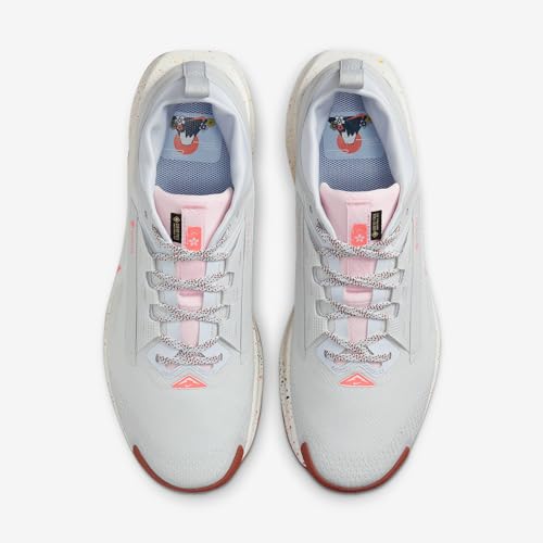 Nike Pegasus Trail 5 Gore-TEX Men's Waterproof Running Shoes (FQ0908-009, Pure Platinum/Football Grey/Pink Foam/White) Size 11.5