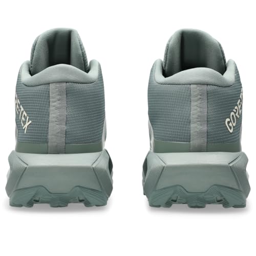 ASICS Men's Gel-Trabuco MT GTX Trail Running Shoes, 11, Monument Blue/Vanilla