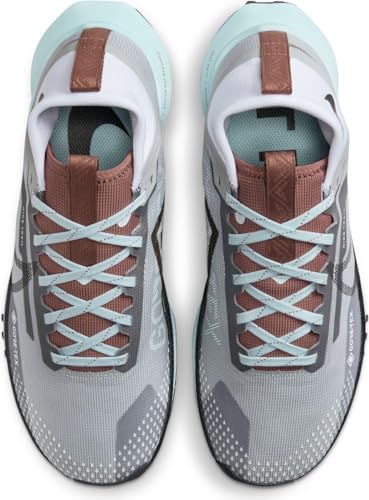 Nike Pegasus Trail 4 Gore-TEX Women's Waterproof Trail Running Shoes (DJ7929-005, Light Smoke Grey/Glacier Blue/Football Grey/Black) Size 10