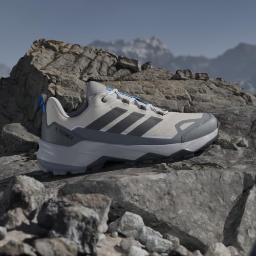 adidas Men's Terrex Skychaser AX5 Hiking, Wonder Alumina/Carbon/Grey, 10.5