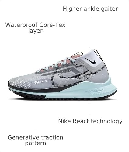 Nike Women's React Pegasus Trail 4 Gore-Tex Trainers, Lt Smoke Grey Black Glacier Blue, 5.5