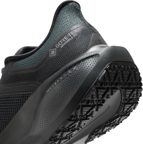 Nike Mens Pegasus 41 Gore-TEX Black/Black/Anthracite 10.5 Medium