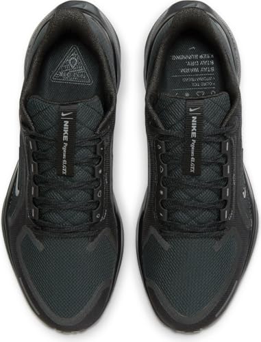 Nike Mens Pegasus 41 Gore-TEX Black/Black/Anthracite 10.5 Medium