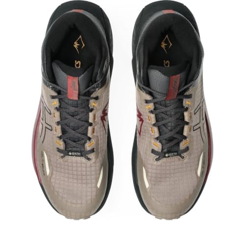 ASICS Men's Gel-Trabuco MT GTX Running Shoes, 10.5, Taupe Grey/Graphite Grey