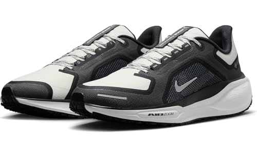 Nike Mens Pegasus 41 Gore-TEX Black/Summit White/Anthracite/Iron Grey 12 Medium