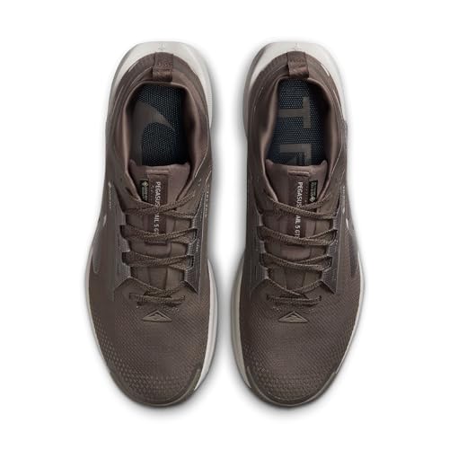Nike Mens Pegasus Trail 5 Gore-TEX Ironstone/College Grey/Velvet Brown 8 Medium