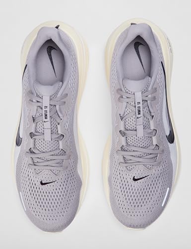 Nike Men's Air Winflo 12, College Grey/Burgundy Ash-Coconut Milk, 10.5