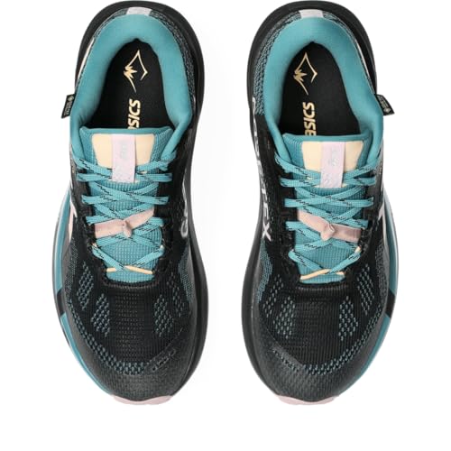 ASICS Women's Trabuco 14 GTX Trail Running Shoes, 9.5, Black/MORGANITE
