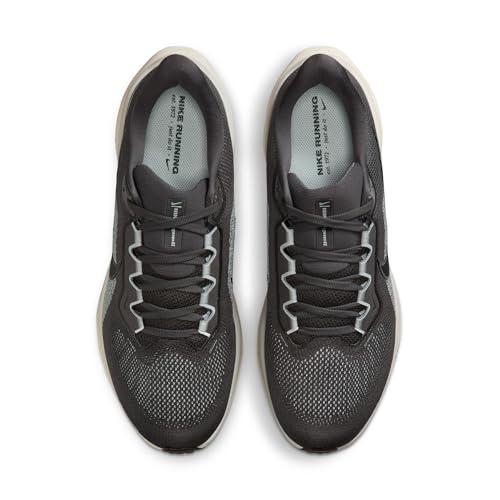 Nike Men's Pegasus 41 Medium Ash/Black/Pure Platinum 11.5 Medium
