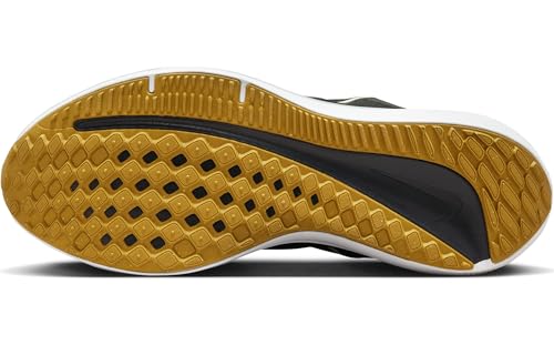 Nike Winflo 10 Men's Road Running Shoes (DV4022-009, Black/Bronzine/Amber Brown/Olive Aura) Size 8