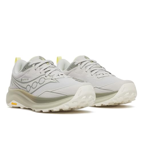 Saucony Women's Peregrine 16 GTX Sneaker, Arctic/Tender, 9.5