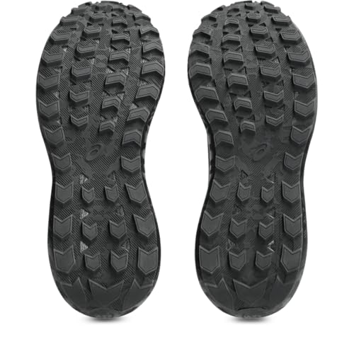 ASICS Women's Gel-Sonoma 8 GTX Running Shoes, 6, Black/Carrier Grey