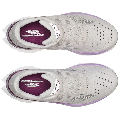 Saucony Women's Endorphin Speed 4 Sneaker, Moon/Plum, 10