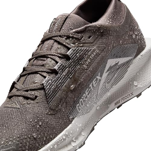 Nike Mens Pegasus Trail 5 Gore-TEX Ironstone/College Grey/Velvet Brown 8 Medium