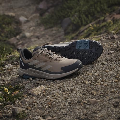 Adidas Men's Terrex Anylander Hiking, Cardboard/Blanch Cargo/Shadow Olive, 10.5