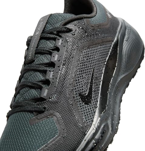 Nike Mens Pegasus 41 Gore-TEX Black/Black/Anthracite 10.5 Medium