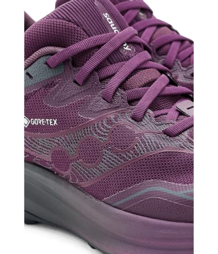 Saucony Women's Peregrine 16 GTX Sneaker, Eggplant/Ebo, 9.5