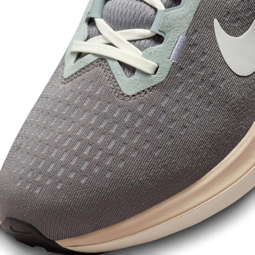 Nike Winflo 10 Men's Road Running Shoes (FN7499-029, Flat Pewter/Pewter/Iron Grey/Photon Dust) Size 9