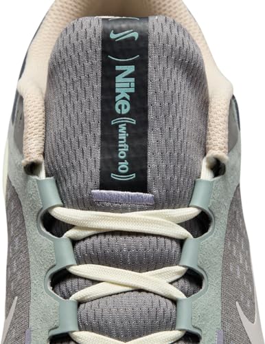 Nike Winflo 10 Men's Road Running Shoes (FN7499-029, Flat Pewter/Pewter/Iron Grey/Photon Dust) Size 9