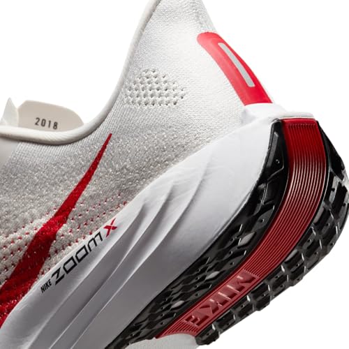 Nike Pegasus Plus Men's Road Running Shoes (FQ7262-003, Platinum Tint/Phantom/Black/University Red) Size 11