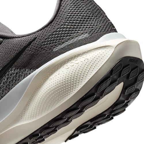 Nike Men's Pegasus 41 Medium Ash/Black/Pure Platinum 11.5 Medium