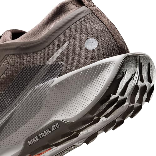Nike Mens Pegasus Trail 5 Gore-TEX Ironstone/College Grey/Velvet Brown 8 Medium