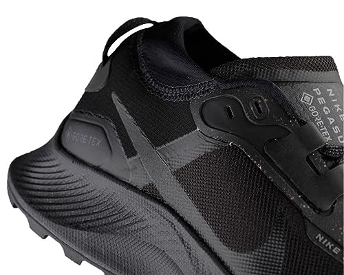 Trail Running Shoes Nike Air Pegasus 3 GTX in Black Dark Smoke Grey 001