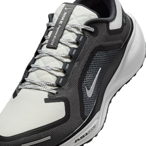 Nike Mens Pegasus 41 Gore-TEX Black/Summit White/Anthracite/Iron Grey 11 Medium